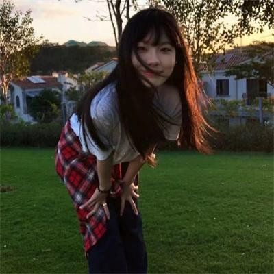 山茶花飘零